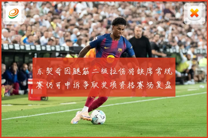 东契奇因腿筋二级拉伤将缺席常规赛仍可申诉争取奖项资格赛场复盘：最新赛事动态与深度分析